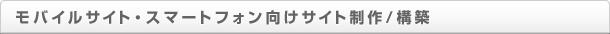 oCTCgEX}[gtHTCg/\z̊Tv